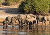 Top Things to Do in Botswana Things to do in Botswana