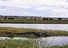 Chobe River Cruise: Life Aboard a Luxury Houseboat Experiencing a Chobe River Cruise