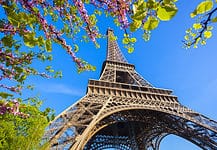 A Guide to Visiting Paris in the Spring Eiffel Tower with spring tree in Paris, France