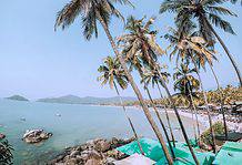 Reasons to Visit Goa in Monsoon Season Goa in monsoon, India