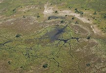 Okavango Delta Safari: One of the World’s Great Inland Waterways Landscapes in the Okavango Delta, Botswana