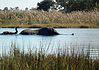 Botswana Landscapes: A Land of Environmental Riches, National Parks and Game Reserves Botswana landscapes