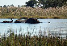 Botswana Landscapes: A Land of Environmental Riches, National Parks and Game Reserves Botswana landscapes